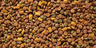 Aliments pour animaux de compagnie